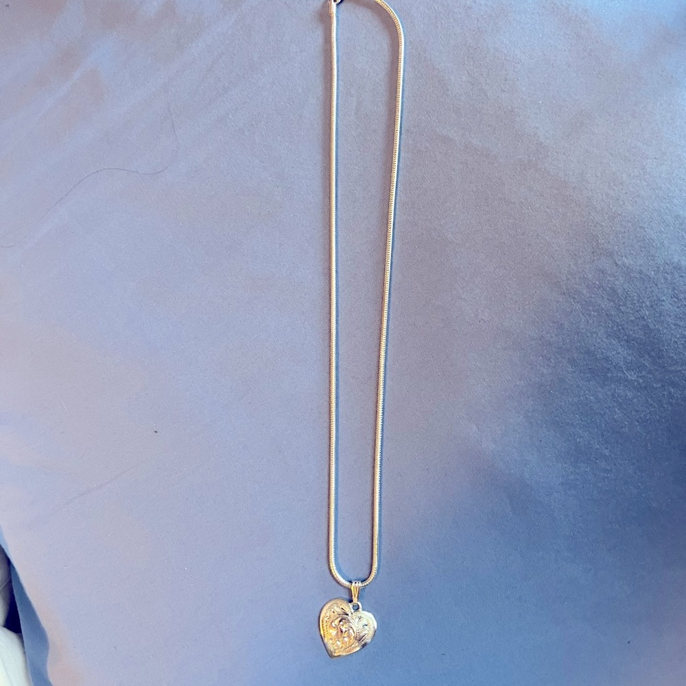 Silver rope necklace with western style heart